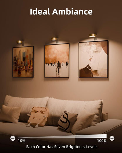 SPIRESHOP RGB Picture Lights for Wall with Charging Station